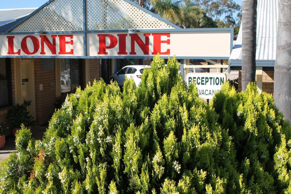 Lone Pine Motel Корова Экстерьер фото